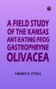A Field Study of the Kansas Ant-Eating Frog Gastrophryne olivacea