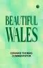 Beautiful Wales