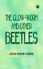 The Glow-Worm and Other Beetles