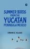 Summer Birds From the Yucatan Peninsula Mexico