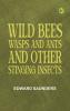 Wild Bees Wasps and Ants and Other Stinging Insects