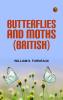 Butterflies and Moths (British)