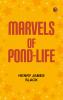 Marvels of Pond-life