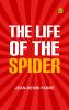 The Life of the Spider
