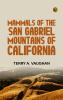Mammals of the San Gabriel Mountains of California