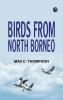 Birds from North Borneo