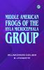 Middle American Frogs of the Hyla microcephala Group