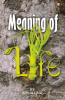 Meaning of Life