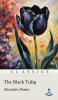 The Black Tulip