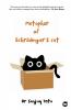 Metaphor Of Schrödinger's Cat