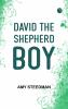 David the Shepherd Boy