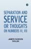 Separation and Service; or Thoughts on Numbers VI VII.