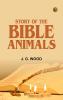 Story of the Bible Animals