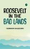 Roosevelt in the Bad Lands