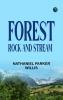 Forest Rock And Stream