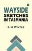 Wayside Sketches in Tasmania