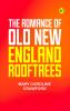 The Romance of Old New England Rooftrees