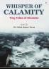 Whisper of Calamity: Tiny Tales of Disaster