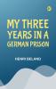 MY THREE YEARS IN A GERMAN PRISON