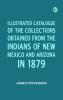 Illustrated Catalogue of the Collections Obtained from the Indians of New Mexico And Arizona in 1879