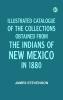 Illustrated Catalogue of the Collections Obtained from the Indians of New Mexico in 1880