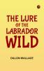 The Lure of the Labrador Wild