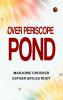 Over Periscope Pond