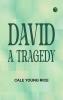 David A Tragedy