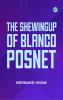 The Shewingup of Blanco Posnet