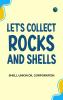 Let's Collect Rocks and Shells