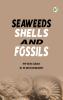 SeaWeeds Shells and Fossils