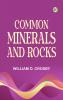 Common Minerals and Rocks