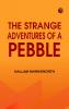 The Strange Adventures of a Pebble