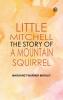 Little Mitchell The Story of a Mountain Squirrel