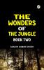 The Wonders of the Jungle Book Two