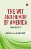 The Wit and Humor of America Volume VIII (of X)