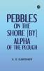 Pebbles on the shore [by] Alpha of the plough
