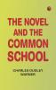 The Novel and the Common School
