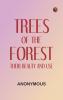 Trees of the Forest: Their Beauty and Use