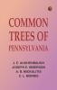 Common Trees of Pennsylvania