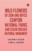 Wild Flowers of Zion and Bryce Canyon National Parks and Cedar Breaks National Monument