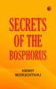 Secrets of the Bosphorus
