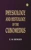 Physiology and histology of the Cubomedus
