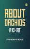 About Orchids: A Chat