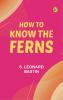 How to Know the Ferns