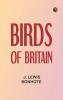 Birds of Britain