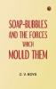 Soap-Bubbles and the Forces Which Mould Them