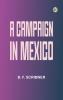 A campaign in Mexico