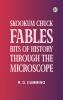 Skookum Chuck Fables: Bits of History Through the Microscope