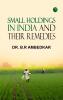 Small Holdings In India And Their Remedies